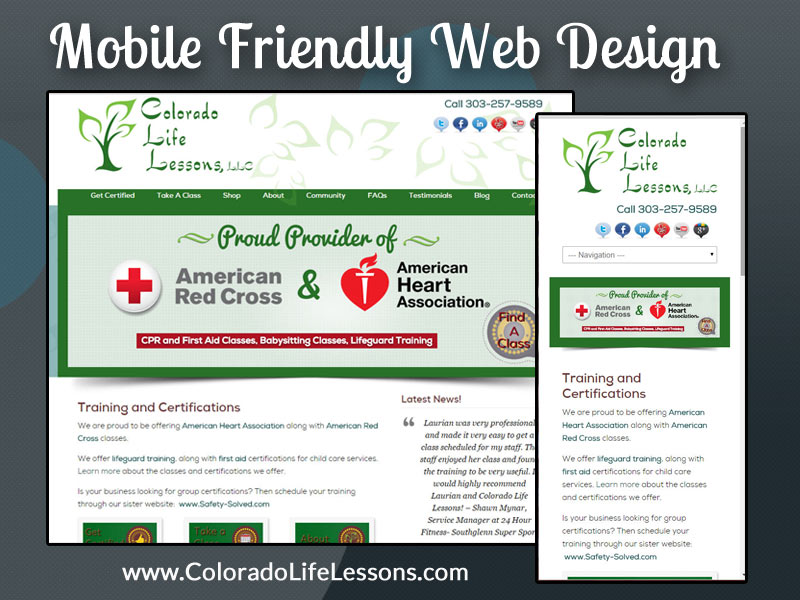 Blue Zenith Web Design Mobile Friendly Web Design